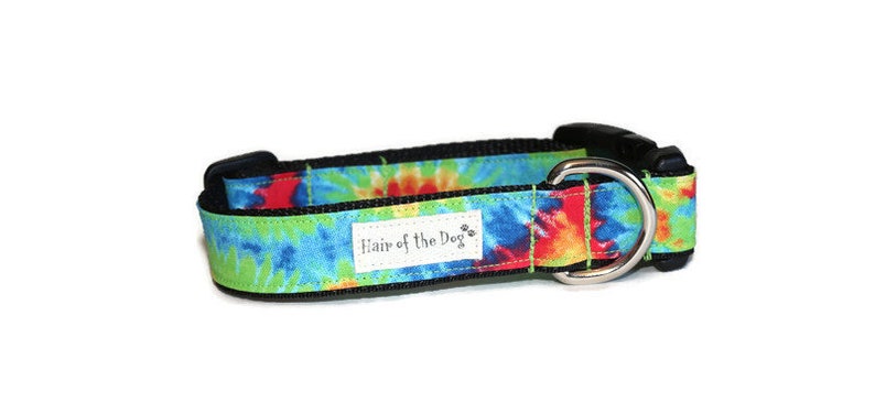 May include: A green, blue, red, and yellow tie-dye dog collar with black webbing and a silver D-ring. The collar has the text "Hair of the Dog" printed on it.