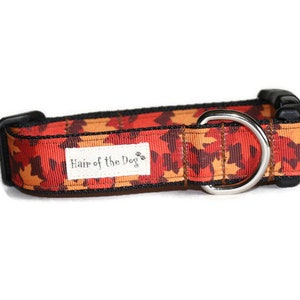 Autumn Leaves dog collar,fall dog collar,leaves dog collar,boy dog collar,girl dog collar,colorful dog collar,autumn,soft dog collar