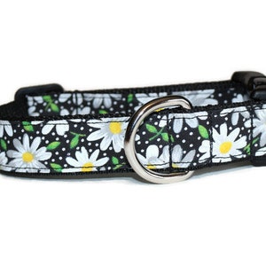 White Daisy on Black,dog collar,daisy dog collar,flower dog collar,cute dog collar,fun dog collar,hairofthedogcollars,fun daisy dog collar