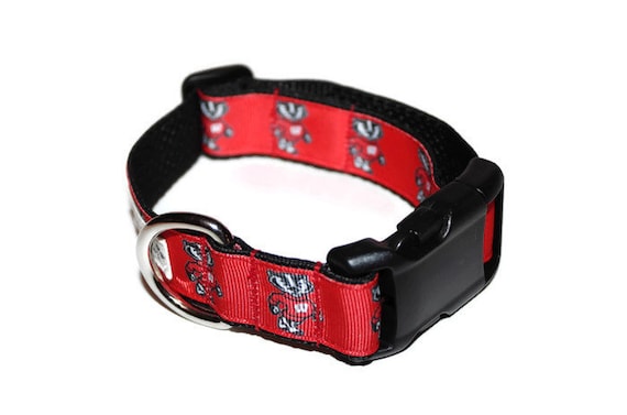 Wisconsin badgers hotsell dog collar
