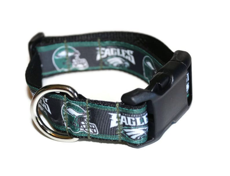 Philadelphia Eagles inspired DoG Collar NFL dog collar Etsy
