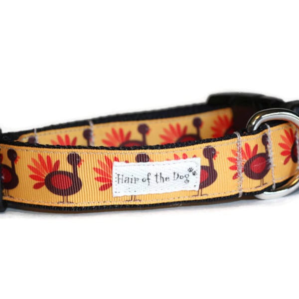 Turkey Trot DoG Collar,handmade dog collar,thanksgiving dog collar, fall dog collar,hairofthedogcollars,fun dog collar, cute dog collar