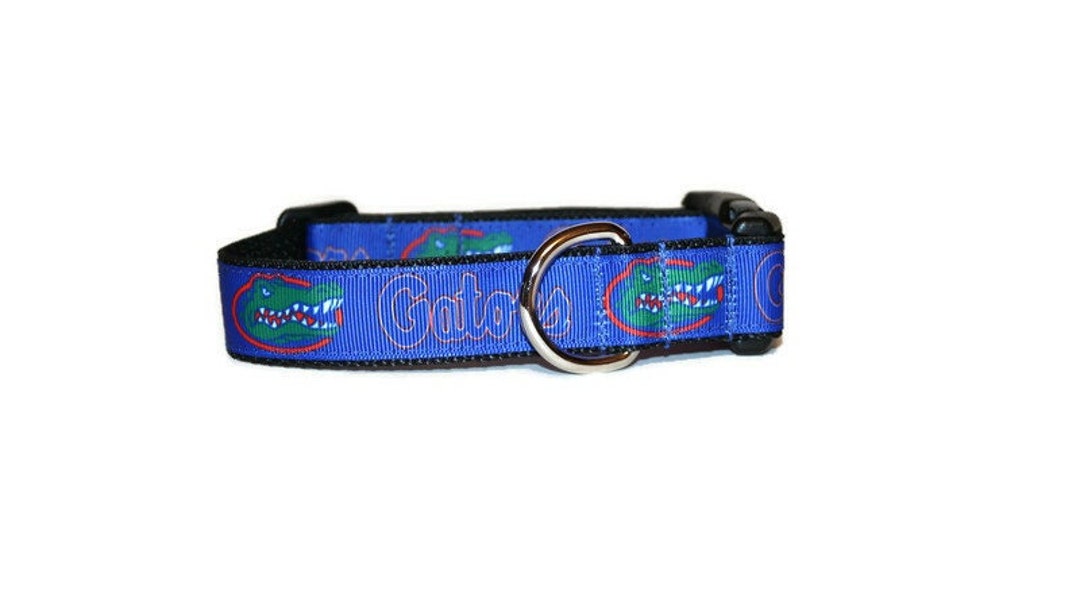 Collegiate Pet Accessories, Dog Leash, Florida Gators, Medium main image 0