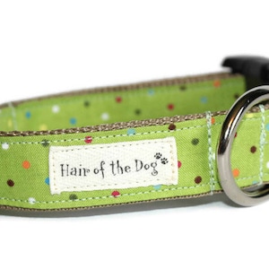 May include: Green dog collar with a brown trim and colorful polka dots. The collar has a black buckle and a silver D-ring. A white label with the text "Hair of the Dog" is sewn onto the collar.