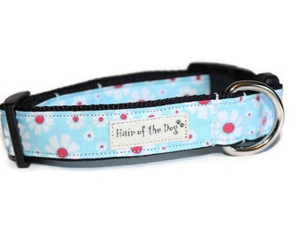Happy Daisy DoG Collar,flower dog collar,daisy dog collar,handmade dog collar,blue dog collar,cute dog collar,girl dog collar,dog collar