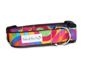 Tuti Fruti DoG Collar,dog collar,fun dog collar,colorful dog collar,boy dog collar,girl dog collar,cute dog collar,hairofthedogcollars