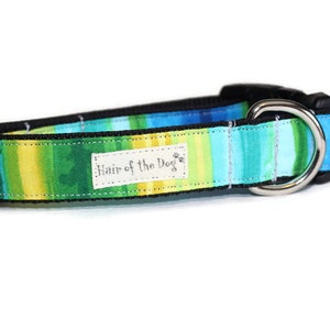May include: A blue, green, and yellow striped dog collar with a silver D-ring and a white label that says "Hair of the Dog".