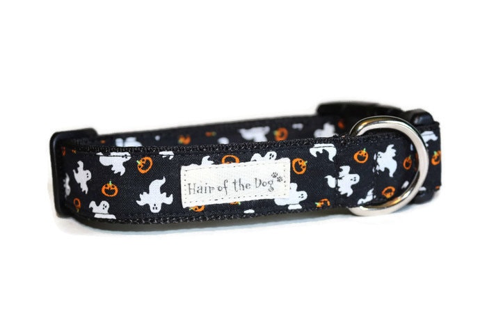 Scarey Ghost & Punkin Dog Collar, Halloween Dog Collar, Ghost Collar, Pumpkin Collar, Dog Collar, Fun Collar, Cute Collar