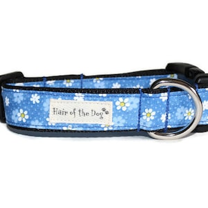 Mini Daisy DoG Collar,dog collar,daisy dog collar,blue dog collar,fun dog collar,girl dog collar,hairofthedogcollars,soft dog collar