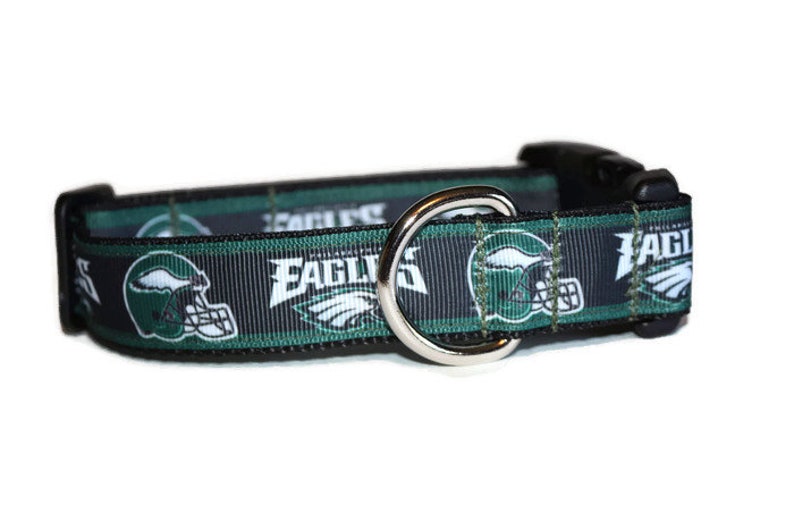 Philadelphia Eagles inspired DoG Collar NFL dog collar Etsy