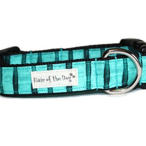 May include: A turquoise and black striped dog collar with a silver D-ring and a white label that reads "Hair of the Dog".