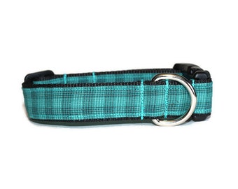 May include: A teal and black plaid dog collar with a silver metal D-ring.