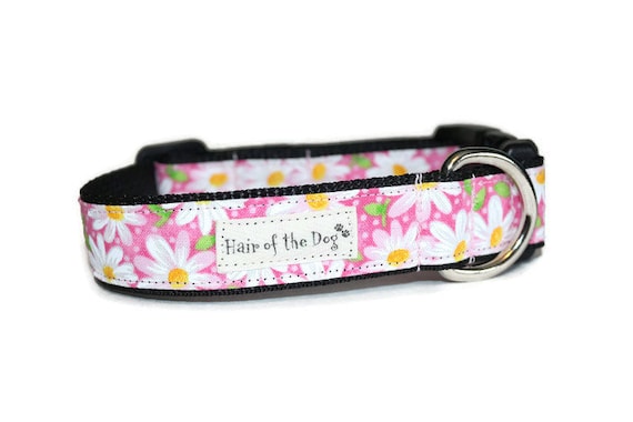 Etsy girl dog collars hotsell
