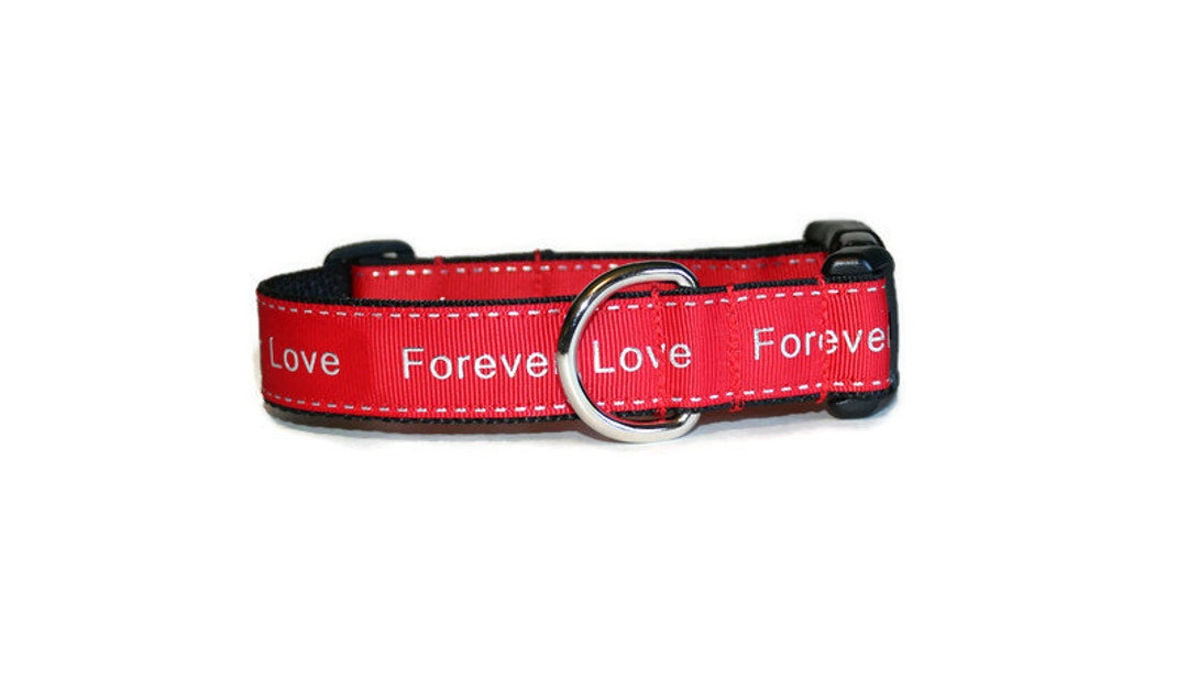 Forever Love Dog Collardog Collarlove Dog Collarred Dog -  Israel