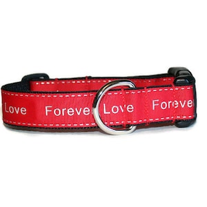 Forever Love dog collar,dog collar,love dog collar,red dog collar,boy dog collar,girl dog collar, valentines day dog collar, valentines day
