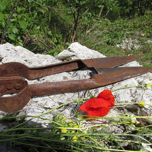 Vintage Metal Sheep Shears, Antique Scissors, Rusty Sheep Shears, Primitive Sheep Shears, Rustic Sheep Scissors, Farmhouse, Old Tool