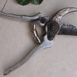 Cisailles d’élagage d’horticulture, ciseaux de cru, cisailles de jardin en métal, outils de jardinage, outils de jardinage, article agricole