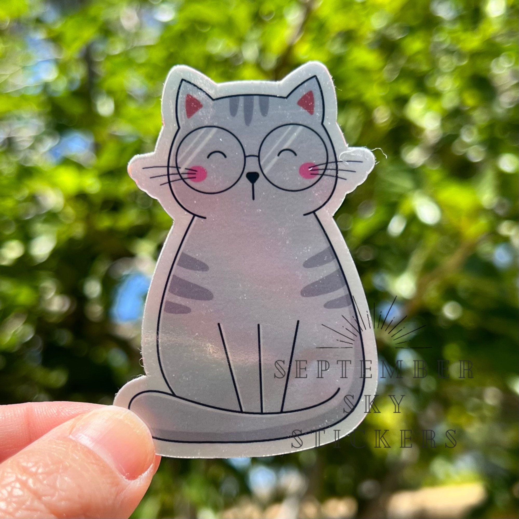 Cat Sticker Waterproof Sticker Hydro Sticker Water Bottle Stickers Laptop  Sticker Cat Stickers Grey Cat Pretty Kitty Glasses 