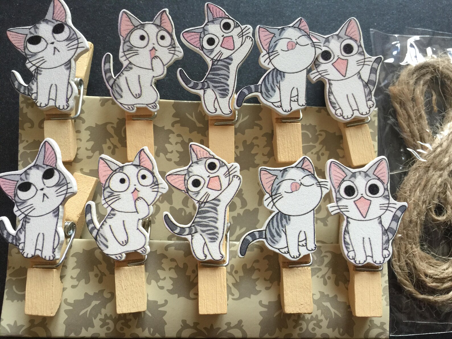 Кот и прищепка