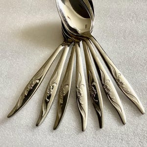 May include: A set of six silver spoons arranged in a fan shape. Each spoon features a floral design on the handle. The spoons are made of a shiny, reflective metal, likely stainless steel, and are set against a white background.