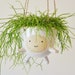 see more listings in the FOR HANGING PLANTS section