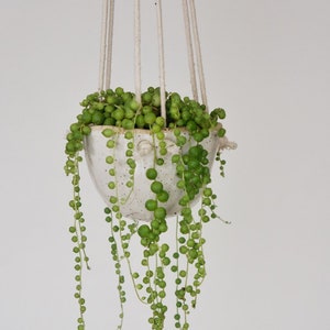 Natürel Knotty - Hanging Planter