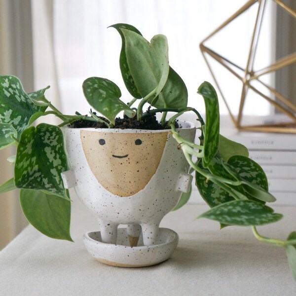 Ceramic Planter With Drainage Etsy