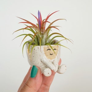 Baby Maya Air Plant Holder