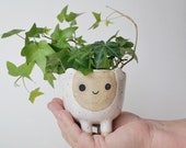 Ceramic Planter BELLA the pet