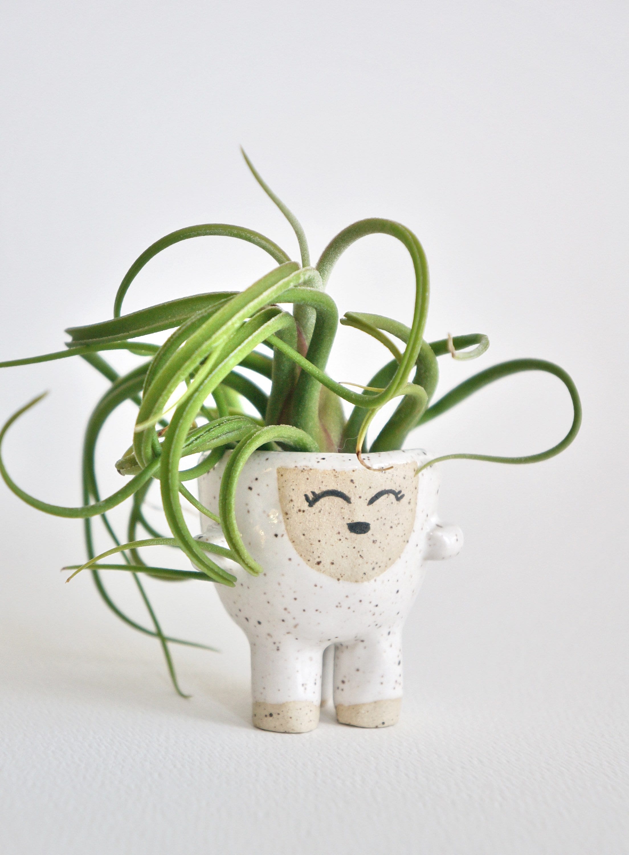 Lizzy the Cute Air Plant Holder