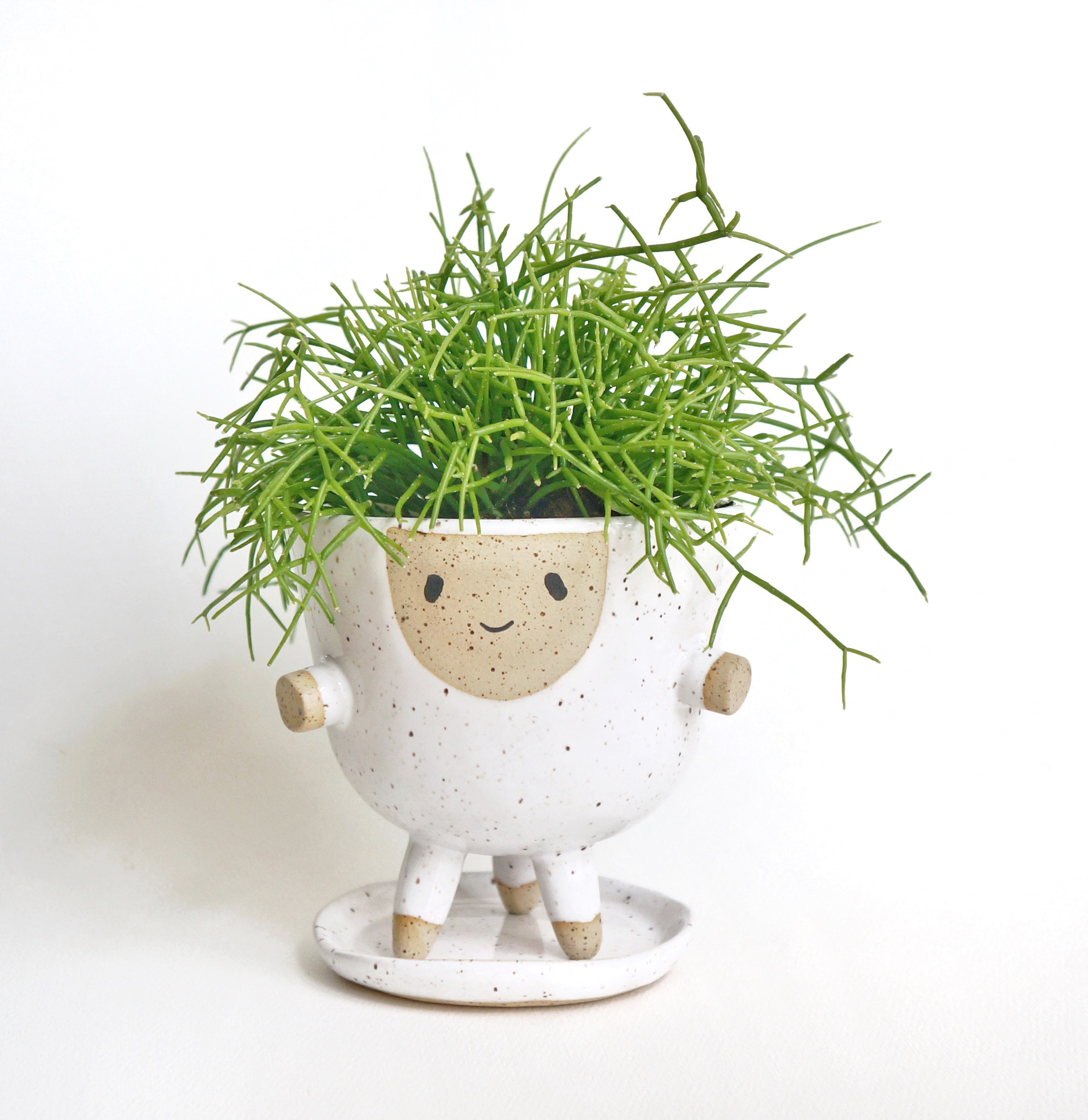 Larry Planter with Drainage and Saucer