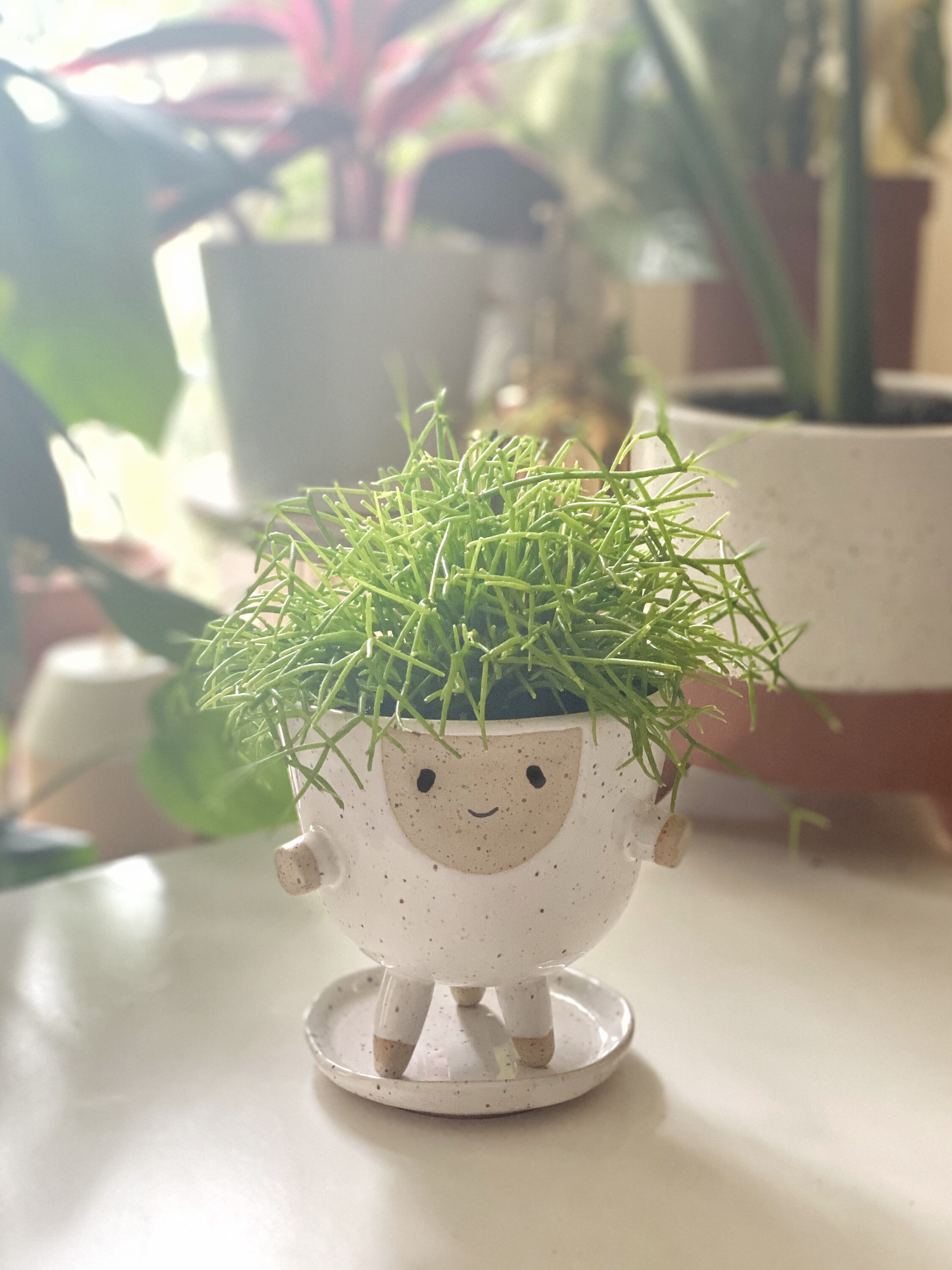 Larry - Planter with Drainage and Saucer