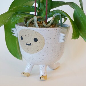 Ceramic Planter Pot Rex the Dinosaur