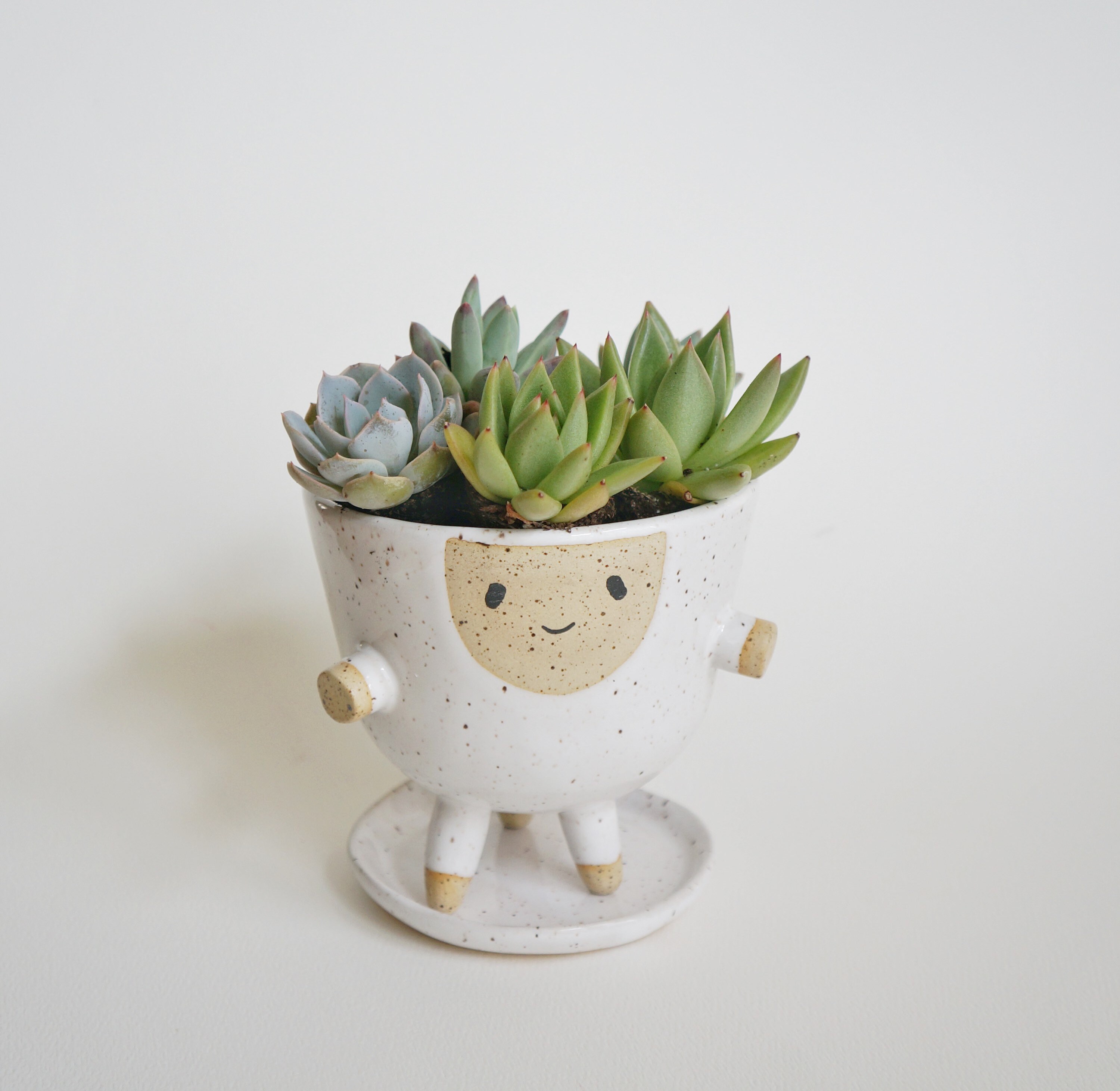 Larry Planter with Drainage and Saucer