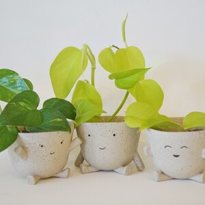 Petal The Clay Pot and Her Friends