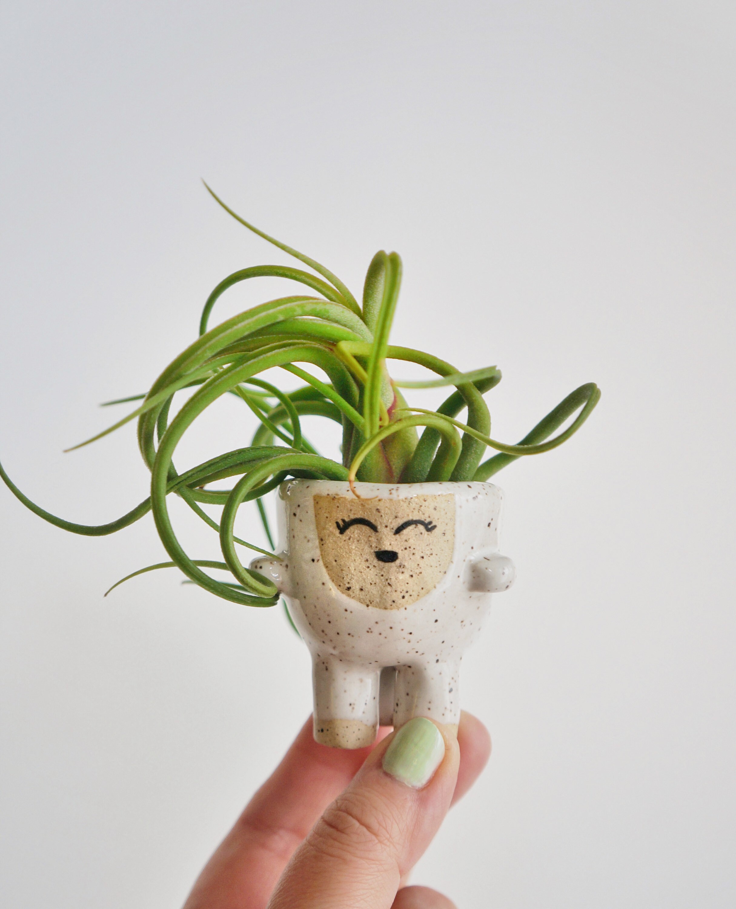 Lizzy the Cute Air Plant Holder
