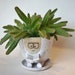 see more listings in the FOR SITTING PLANTS section