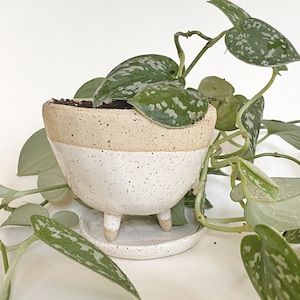 Perfect Planter with Drainage and Saucer