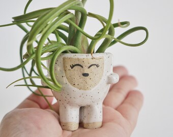 Lizzy the Cute Air Plant Holder