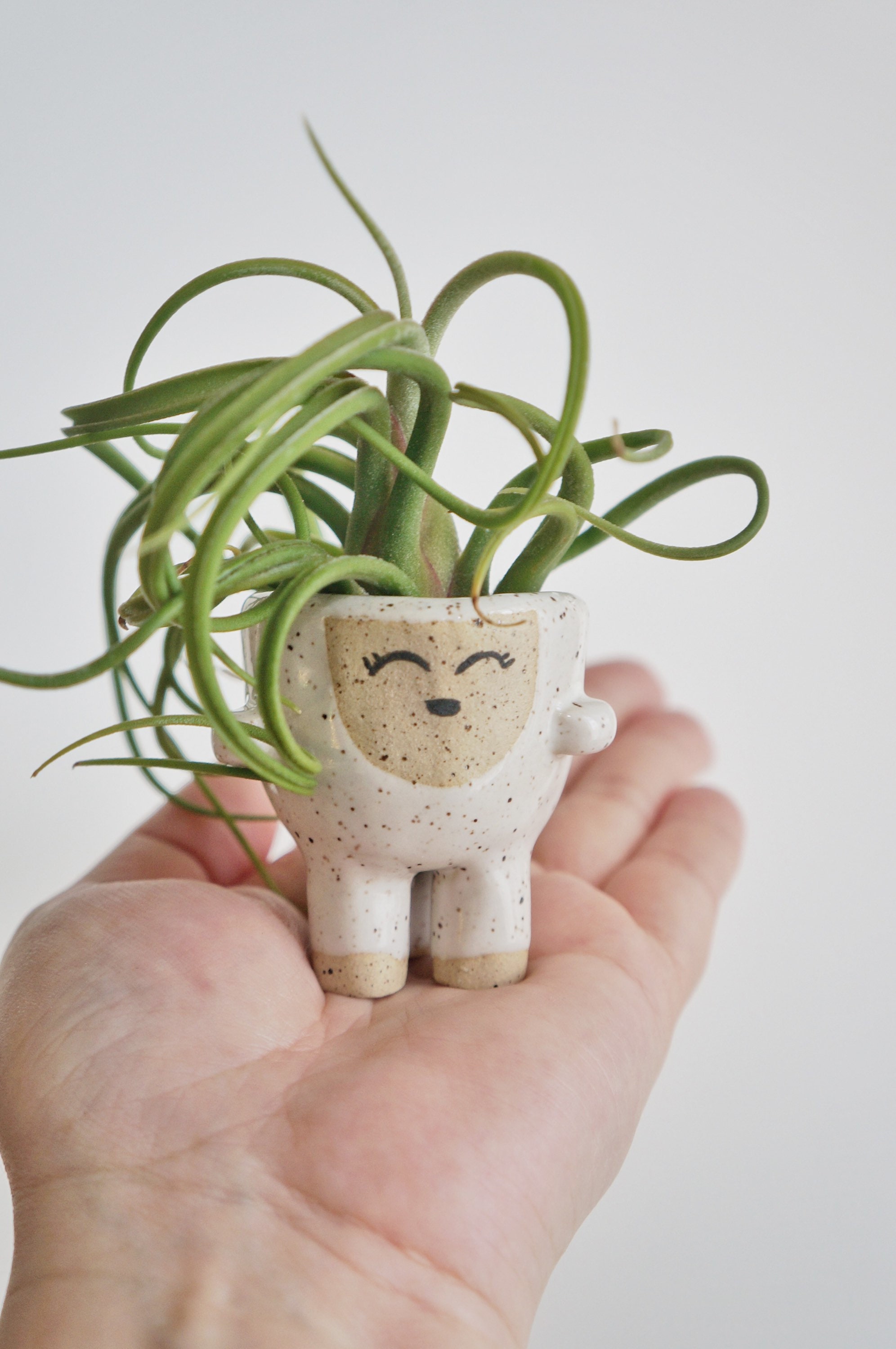 Lizzy the Cute Air Plant Holder
