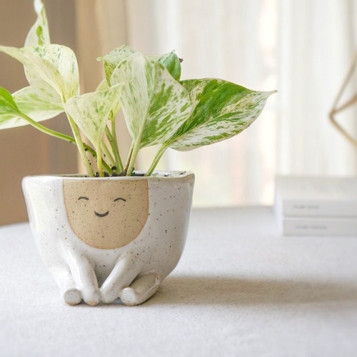 Ceramic Planter Pot Maya