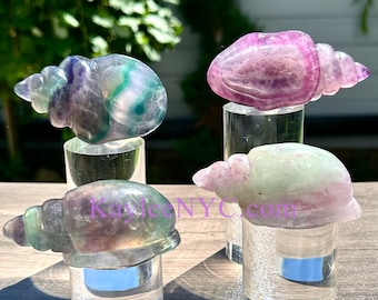 卸売ロット 3個 天然蛍石 ドラゴンヘッド ヒーリングエネルギー - Etsy