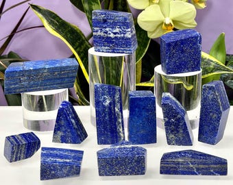 Lote de 2 libras de cristal de lápis-lazúli natural polido em formato livre para energia de cura.