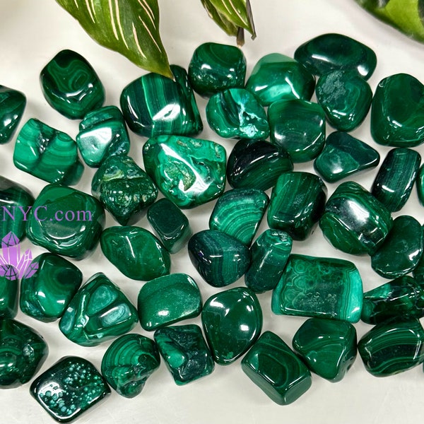 Wholesale Lot 2 Lbs Natural Malachite Tumble Healing Energy Nice Quality