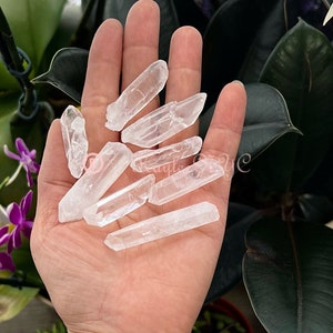 Wholesale Lot 1 Lb Natural Lemurian Quartz Wand Raw Crystal Nice Quality image 4