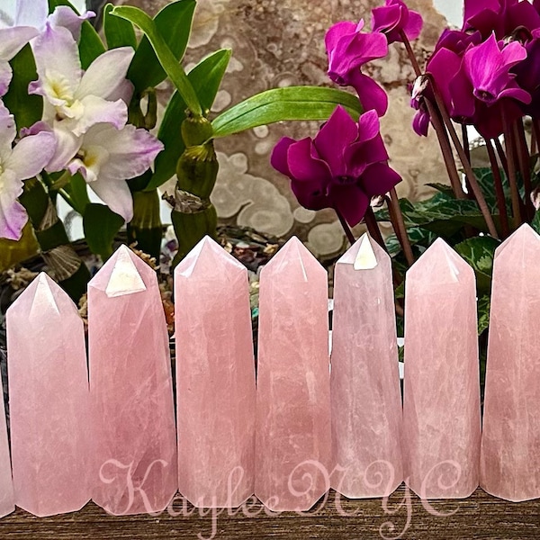 Lot de 2 livres de cristal de guérison naturel à pointe d'obélisque en quartz rose