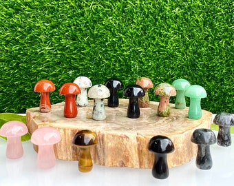 Wholesale Lot 16 PCs Natural Mixed 1” Crystal Mushroom Healing Energy