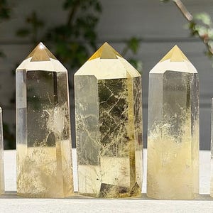May include: Five clear quartz crystal points with yellow and white hues. The crystals are cut into a hexagonal shape with a pointed top. The crystals are arranged in a row, with varying heights. The background is blurred with green foliage.