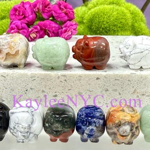 Wholesale Lot 12 Pcs 1”  Natural Crystal Pig Healing Energy