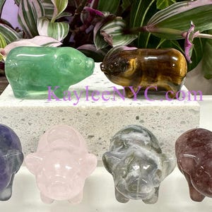 Wholesale Lot 6 Pcs 2” Natural Mix Crystals Pigs Healing Energy